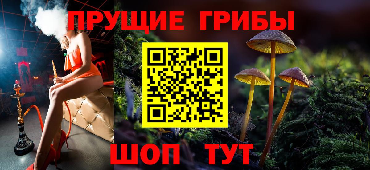 Калуга  Псилоцибиновые грибы мицелий  Вход с VPN 