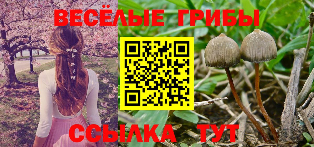 Псилоцибиновые грибы мухоморы Калуга